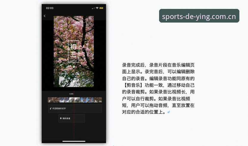 德赢体育平台深度评测：安全性、功能与用户体验全面分析